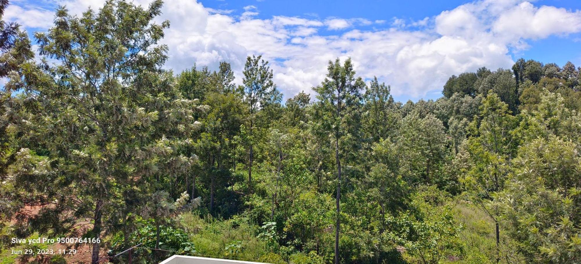 Ambience Villas Yercaud Εξωτερικό φωτογραφία